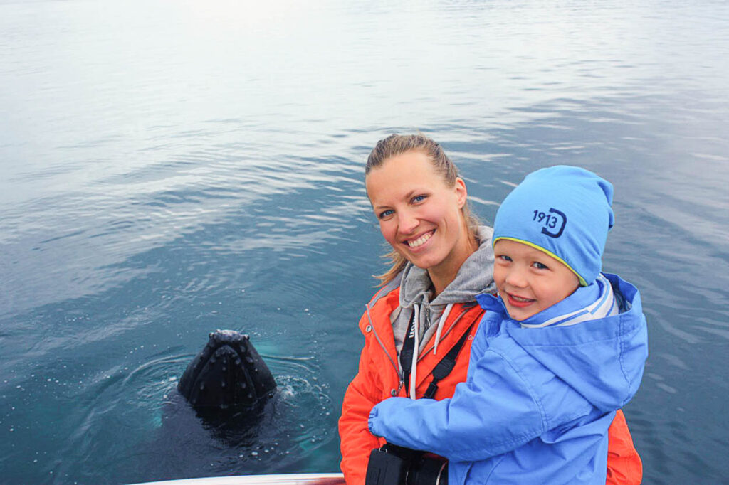 Hello humpback whale!
